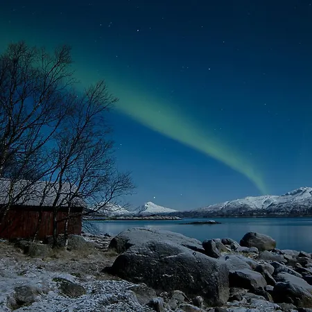 Aurora Harbour House * Лёдинген